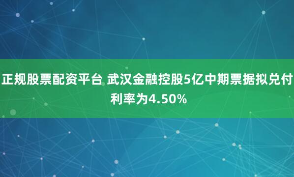 正规股票配资平台 武汉金融控股5亿中期票据拟兑付 利率为4.50%