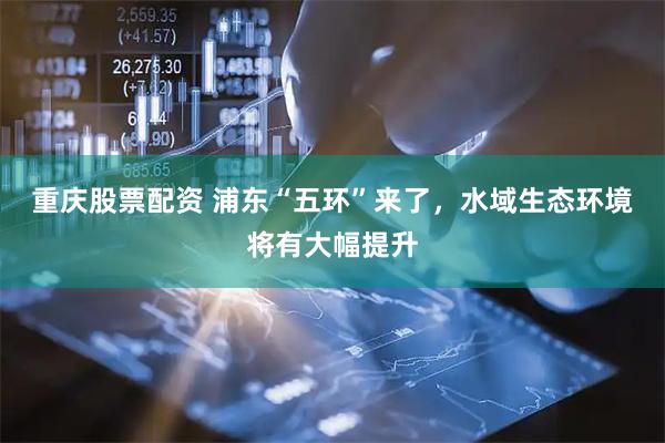 重庆股票配资 浦东“五环”来了，水域生态环境将有大幅提升