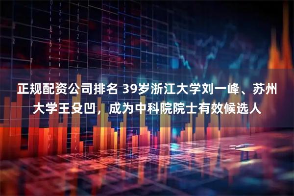 正规配资公司排名 39岁浙江大学刘一峰、苏州大学王殳凹，成为中科院院士有效候选人